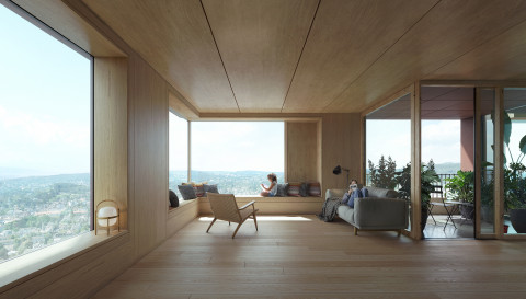 0250_SHL_Swiss-Timber-Tower_View-04_AS-480×273